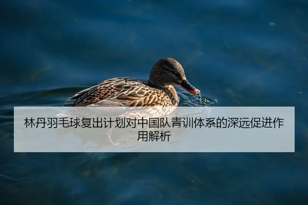 林丹羽毛球复出计划对中国队青训体系的深远促进作用解析